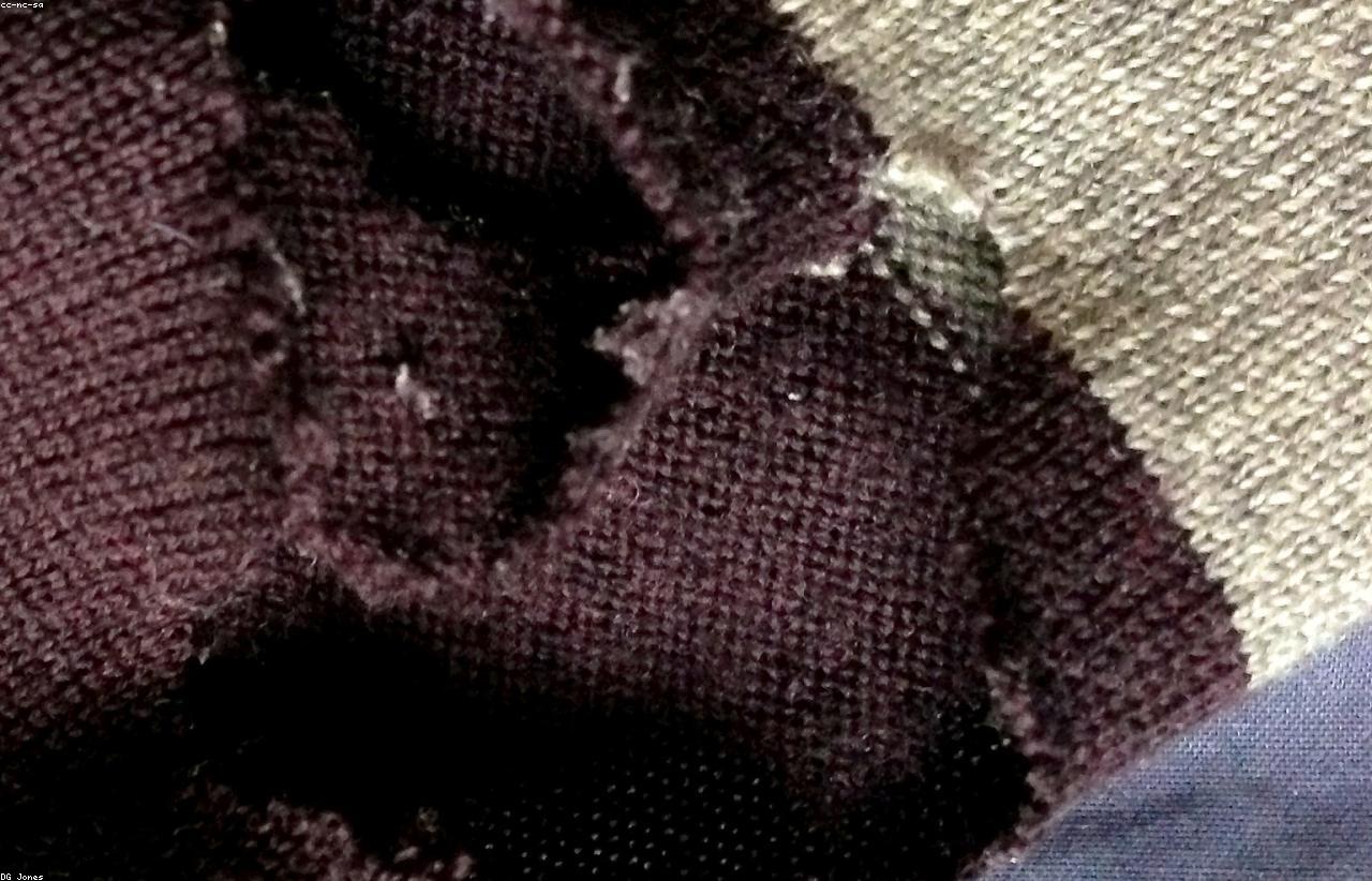 Traitement de la mite des vêtements